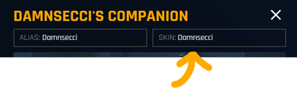 Name/Skin change Input field