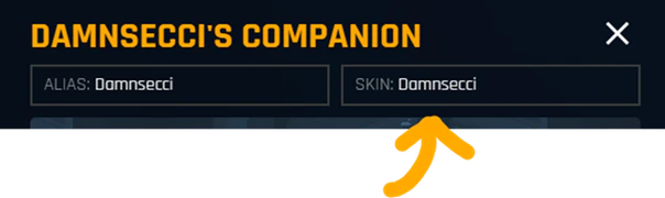 Name/Skin change Input field