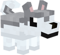 Thumbnail for version as of 11:26, 23 July 2025
