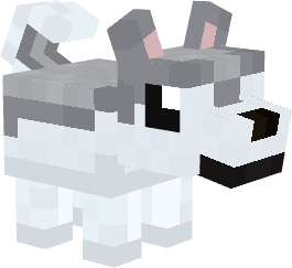 File:Invicon Companion Huskie.webp